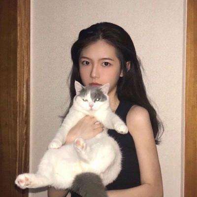 麻雀飞青天手机版下载